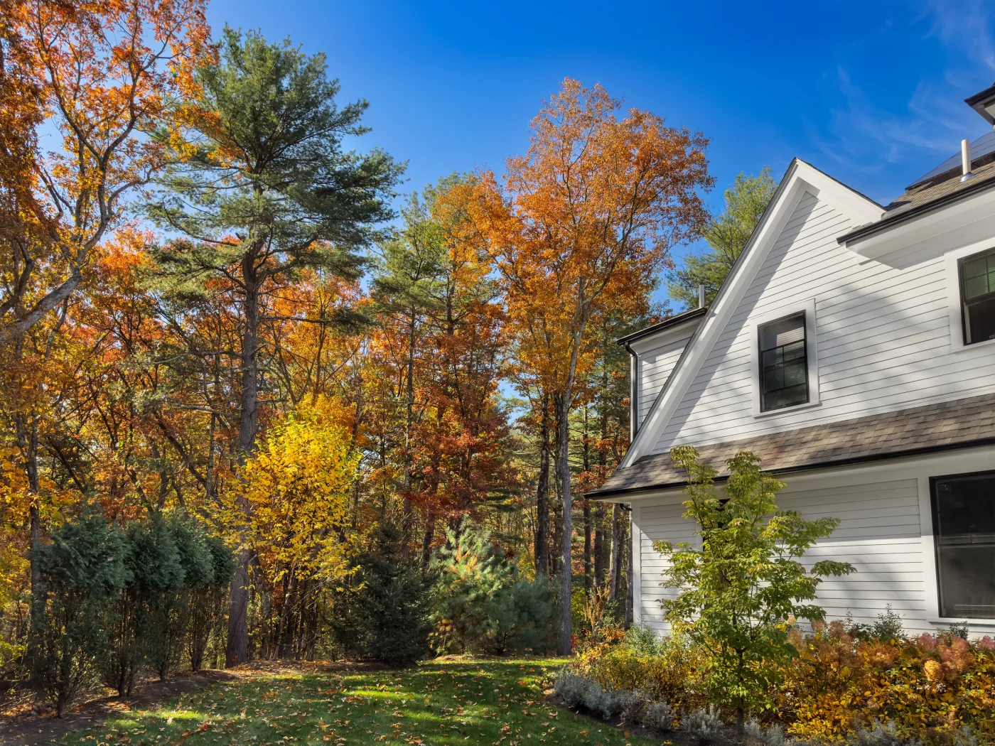 It’s getting close to Fall. To the left is what looks like a small forest's edge. Then there’s a layer of a freshly-cut green lawn with dried leaves sprinkled across it. To the right is the side of a two-story home with dark gutters, white soffit and fascia, white window frames with dark double-hung windows, asphalt shingle roofing, and white panel siding.