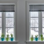 Two side-by-side windows overlooking a snowy yard with colorful potted cacti on the sills