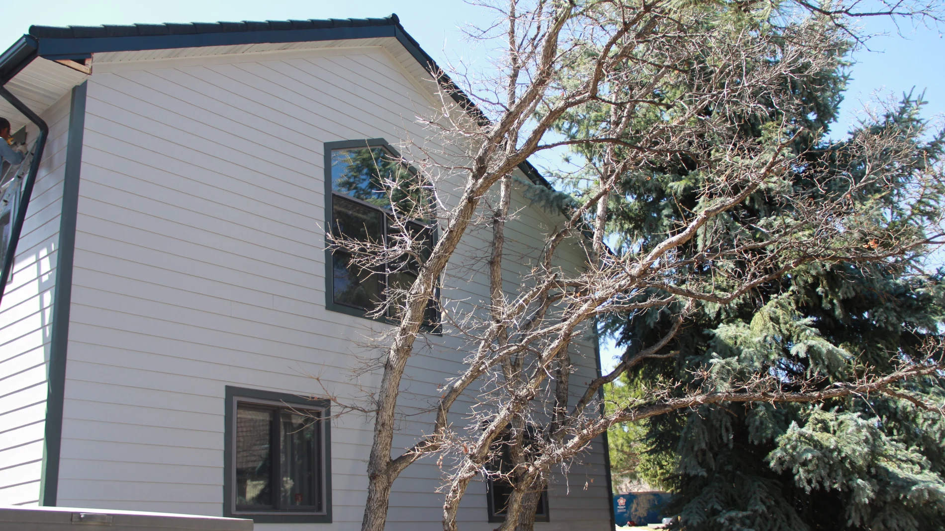 Impressive Siding Installation | Falcon, CO | Peakview Windows, Siding, and Stucco Side of a light-colored two-story house with horizontal siding and dark-trimmed windows, partially obscured by a leafless tree in front.