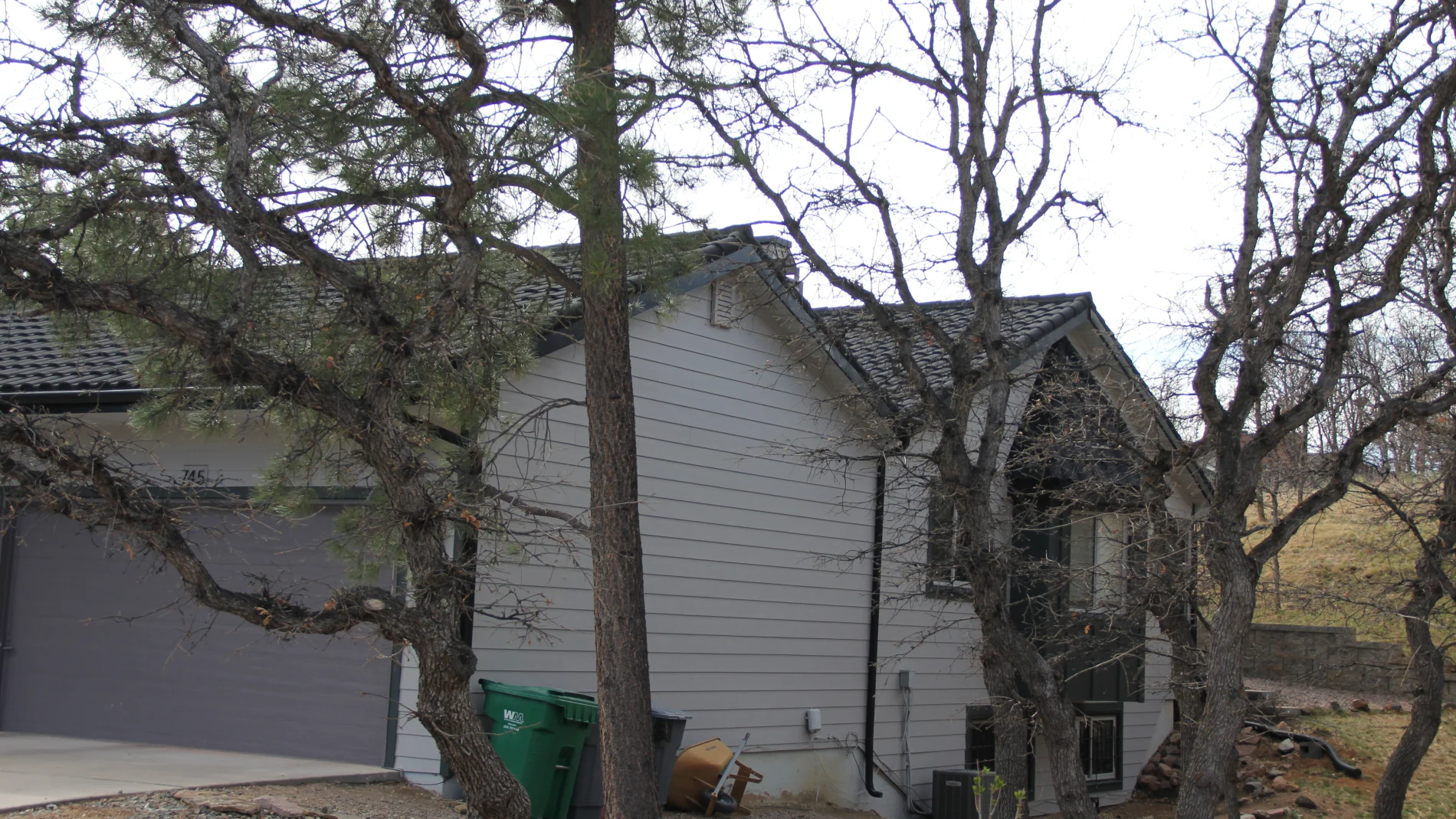 Spectacular Siding Replacement | Falcon, CO | Peakview Windows, Siding, and Stucco Side view of a house with light horizontal siding, dark trim, and a shingle roof, partially hidden by several leafless trees.