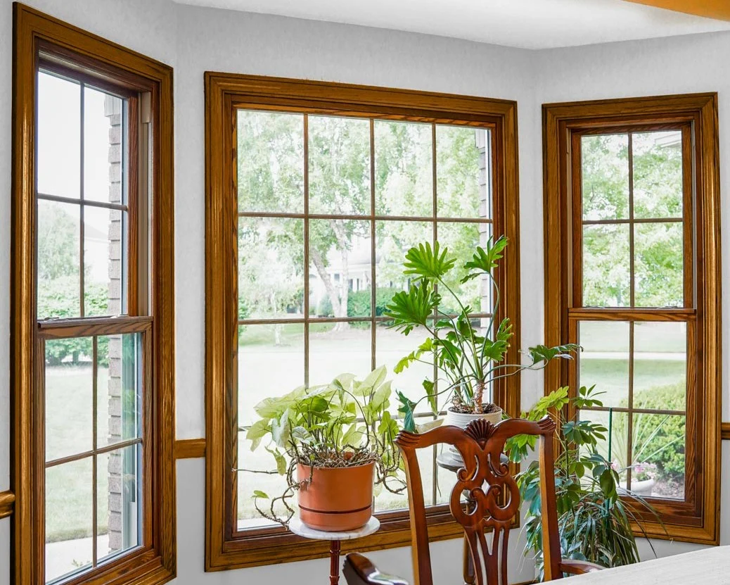 A beautiful window installation featuring classic multi-pane wood-framed windows creates a bright, welcoming bay view filled with lush green houseplants.