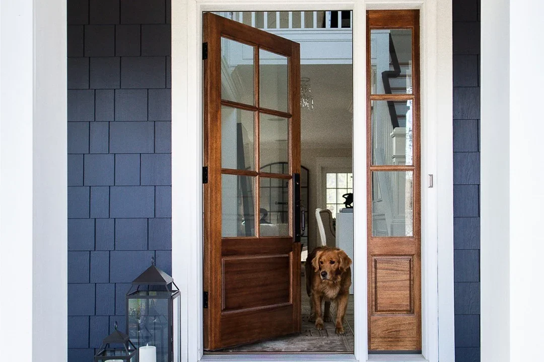Elegant Door Replacements | Palmer Park, CO | Peakview Windows, Siding, Stucco A warm wood entry door with clear glass panes opens to welcome a friendly dog, showcasing modern craftsmanship in door replacements.