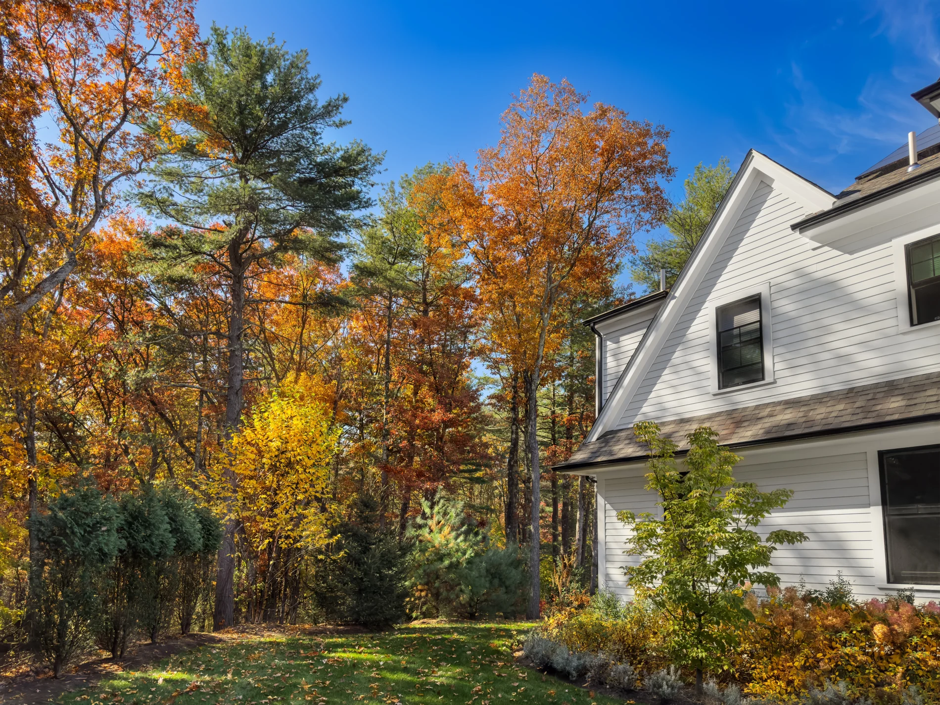 It’s getting close to Fall. To the left is what looks like a small forest's edge. Then there’s a layer of a freshly cut green lawn with dried leaves sprinkled across it. To the right is the side of a two-story home with dark gutters, white soffit and fascia, white window frames with dark double-hung windows, asphalt shingle roofing, and white panel siding.